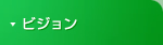 ビジョン