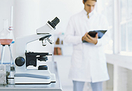 図2
